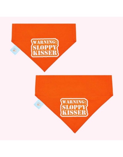 "Warning Sloppy Kisser" Orange Collar Bandana - Medium