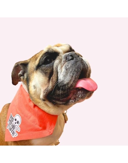 "Bad Motha Fluffa" Orange Collar Bandana - Large