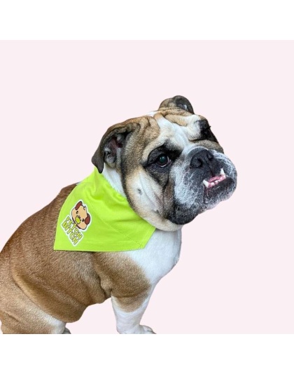 "Fetch Bitch" Lime Green Collar Bandana - Large