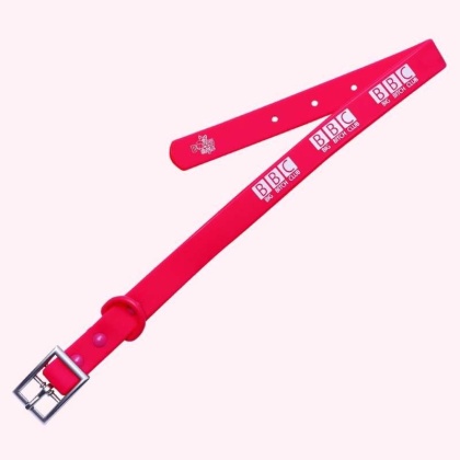 "BBC: Big Bitch Club" Pink Silicone Collar - Medium