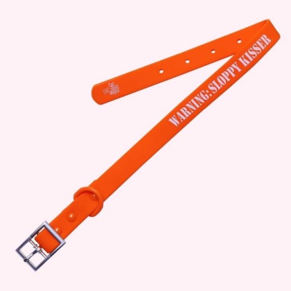 "Warning: Sloppy Kisser" Orange Silicone Collar - Medium