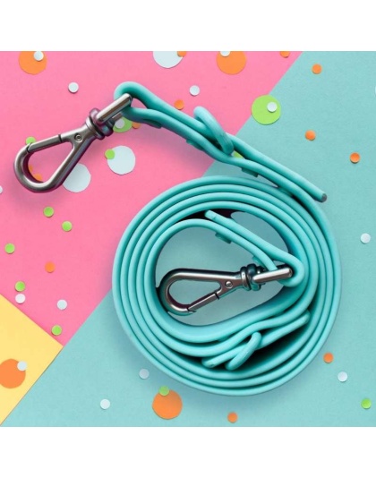 "Bark Bark Bitch" Aqua Leash