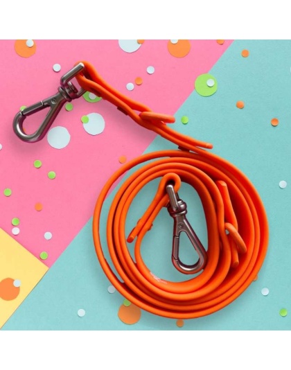 "Warning: Sloppy Kisser" Orange Leash