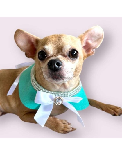 Sniffany Blue Neck Collar- Dog Neck Collar