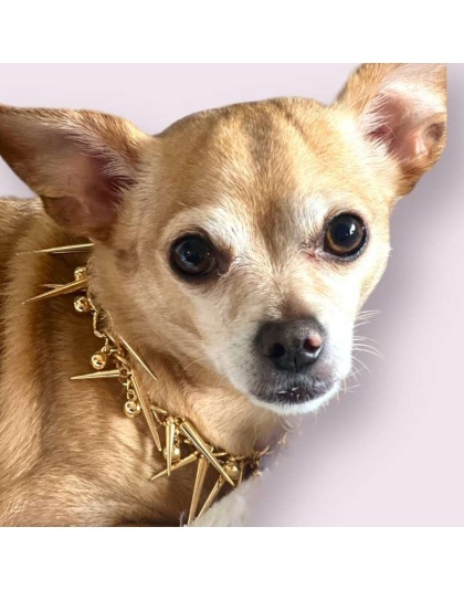 Spikey Stud Chain- Dog Necklace - Medium