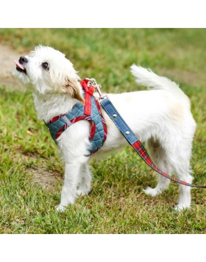 Denim & Red Plaid - Step-In Denim Harness - Small