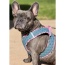 Denim & PinkPlaid - Step-In Denim Harness - Small