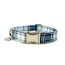 Blue Plaid - Adjustable Collar - Large