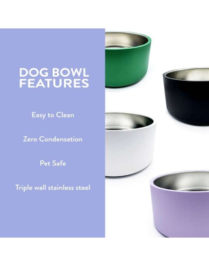 Black Dog Bowl