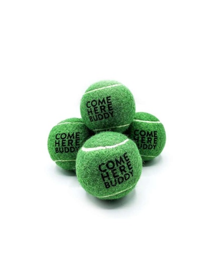 Set of 4 Come Here Buddy Tennis Balls in Green