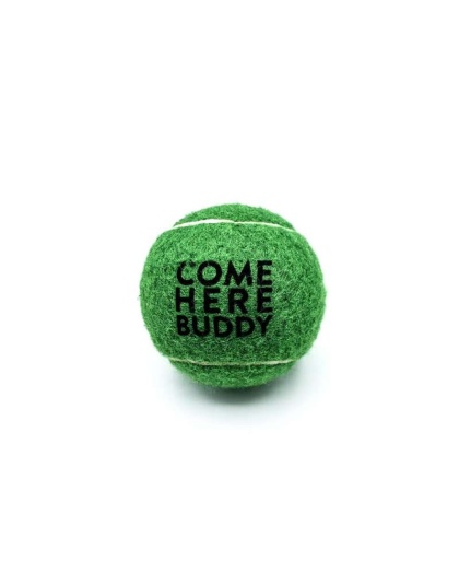 Set of 4 Come Here Buddy Tennis Balls in Green