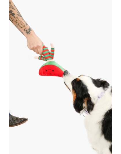 Watermelon Nosework Dog Toy