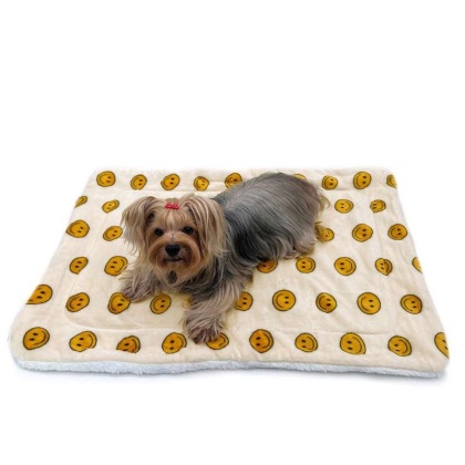 Yellow - Ultra Plush Happy Face Blanket - 30" x 20"