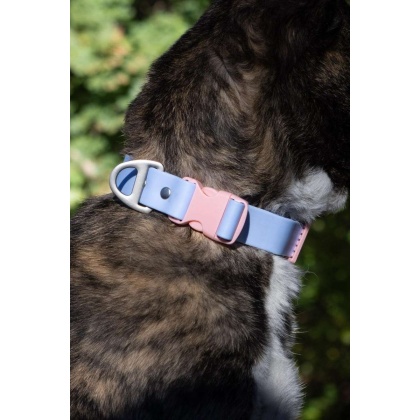 Blue Sky Orchid Waterproof Dog Collar - 11 - 13 inch