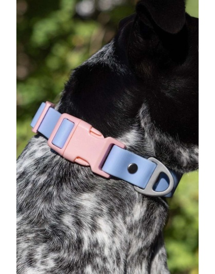 Blue Sky Orchid Waterproof Dog Collar - 11 - 13 inch