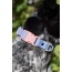 Blue Sky Orchid Waterproof Dog Collar - 11 - 13 inch