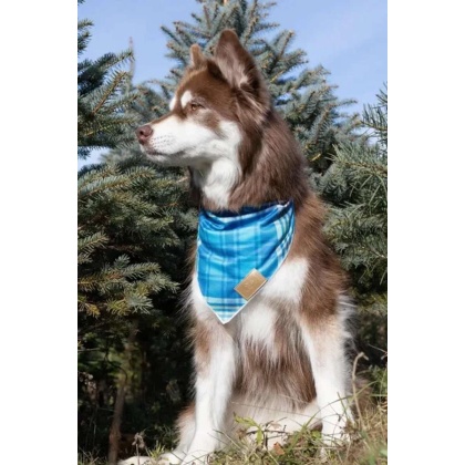 Blue Spruce Plaid Dog Bandana - M/L - 27in x 13in