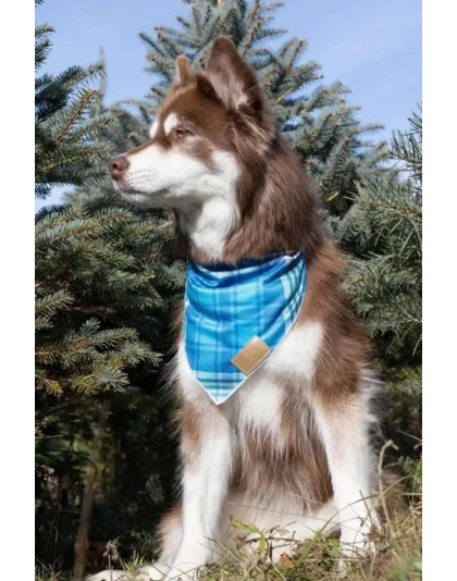 Blue Spruce Plaid Dog Bandana - M/L - 27in x 13in