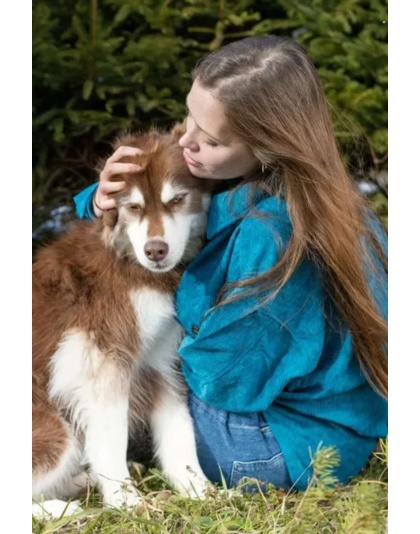 Blue Spruce Plaid Dog Bandana - S/M - 18in x 10in