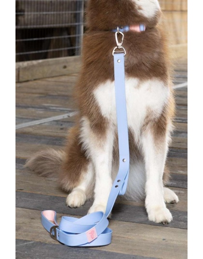 Periwinkle / Pink - Blue Sky Orchid Waterproof Leash