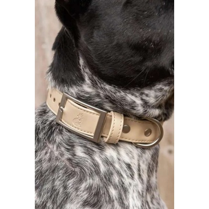 Champagne Fizz Vegan Leather Dog Collar - 11 - 13 inch