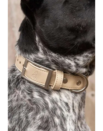 Champagne Fizz Vegan Leather Dog Collar - 11 - 13 inch