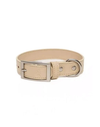 Champagne Fizz Vegan Leather Dog Collar - 11 - 13 inch