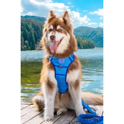 Dockside Adventures Ultimate Harness - Small