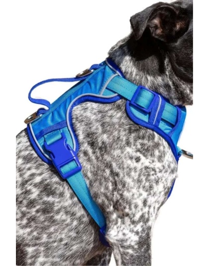 Dockside Adventures Ultimate Harness - Small