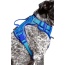 Dockside Adventures Ultimate Harness - Large