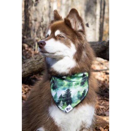 Evergreen Explorer Dog Bandana - S/M - 18in x 10in