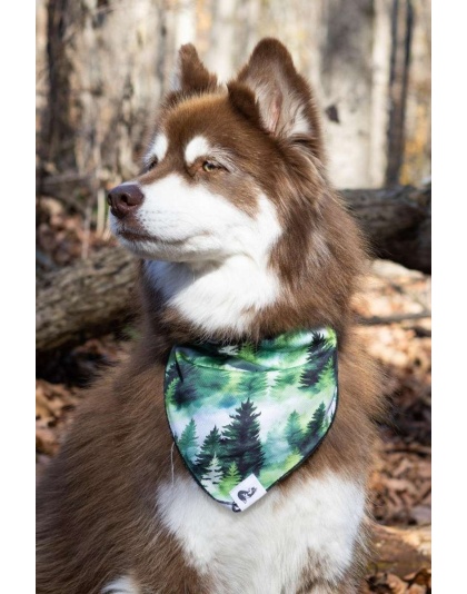 Evergreen Explorer Dog Bandana - S/M - 18in x 10in