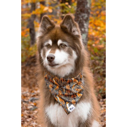 Foxes in Fall Dog Bandana - M/L - 27in x 13in