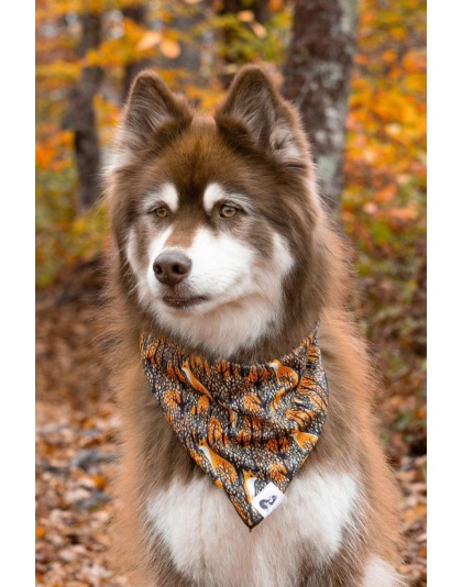 Foxes in Fall Dog Bandana - M/L - 27in x 13in