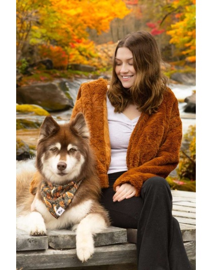 Foxes in Fall Dog Bandana - S/M - 18in x 10in