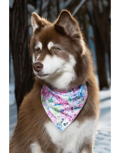 Hydrangea Haven Dog Bandana - M/L - 27in x 13in