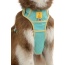 Island Vibes Ultimate Dog Harness - Medium