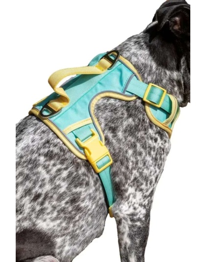 Island Vibes Ultimate Dog Harness - Small