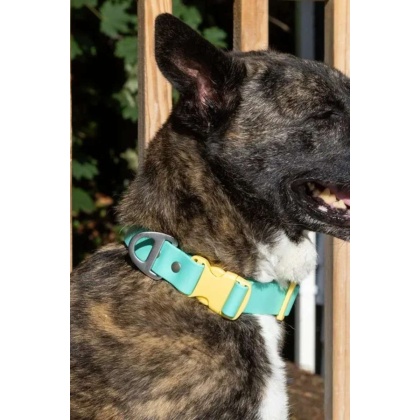 Island Vibes Waterproof Dog Collar - 11 - 13 inch