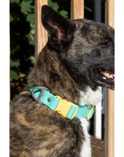 Island Vibes Waterproof Dog Collar - 17 - 20 inch