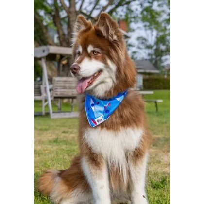 K9 Kayak Dog Bandana - M/L - 27in x 13in