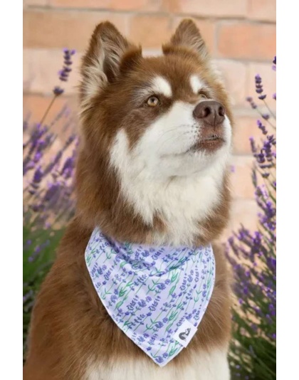 Lavender Blooms Dog Bandana - M/L - 27in x 13in