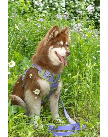 Lavender Garden Ultimate Dog Harness - Medium