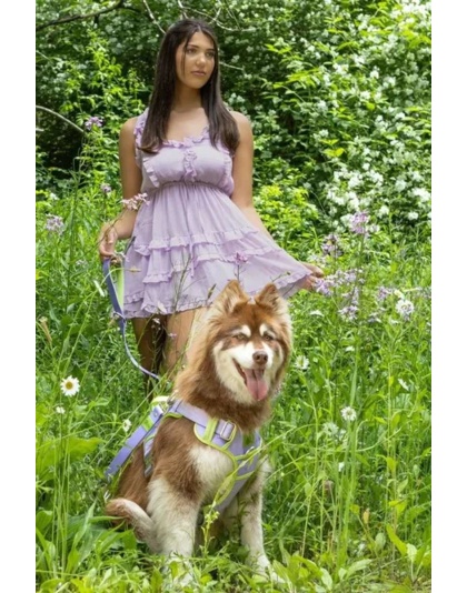 Lavender Garden Ultimate Dog Harness - Medium