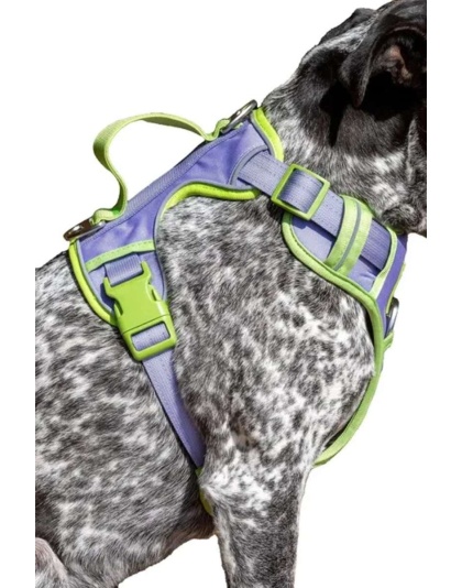 Lavender Garden Ultimate Dog Harness - Medium