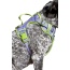 Lavender Garden Ultimate Dog Harness - X-Large