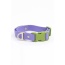 Lavender Garden Waterproof Dog Collar - 11 - 13 inch