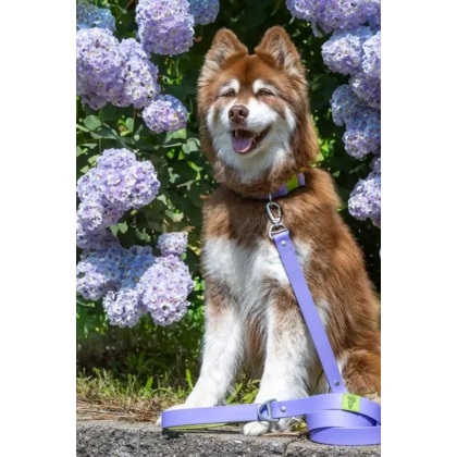 Lavender / Green - Lavender Garden Waterproof Dog Leash