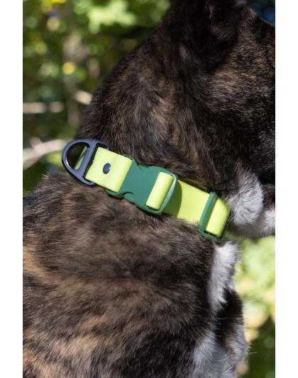 Mossy Pine Waterproof Dog Collar - 11 - 13 inch