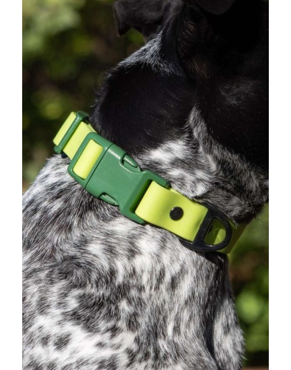 Mossy Pine Waterproof Dog Collar - 11 - 13 inch